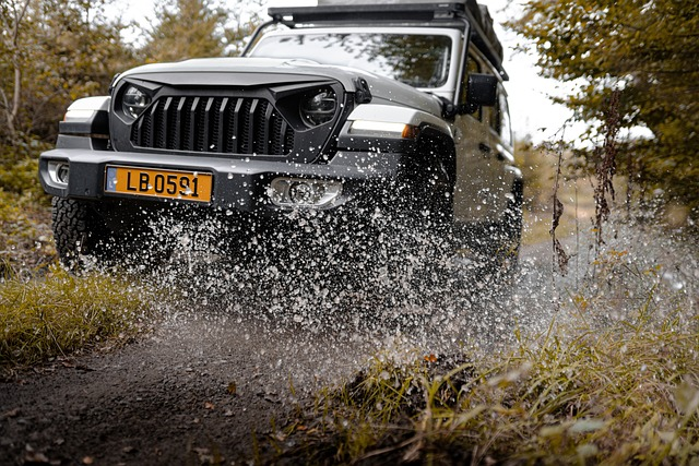 offroad, jeep, wrangler