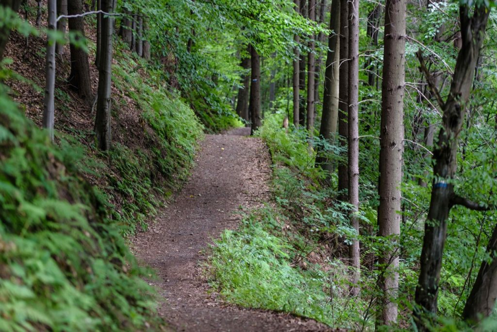 Appalachian Trail