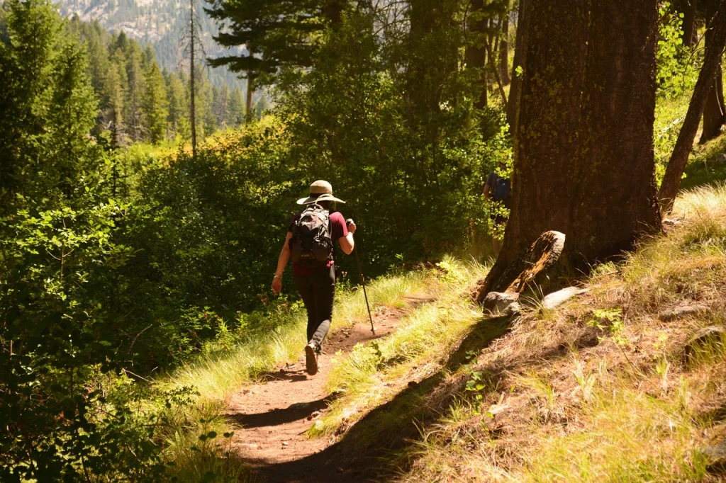 woman, hiking, forest-4713807.jpg